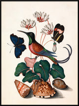 Hummingbird, Butterflies & Flowers