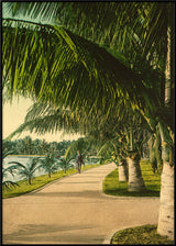 The Walk at Palm Beach
