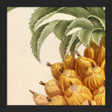 Pineapple Close Up. Mini Print