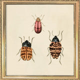 Three Beetles. Mini Print