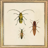 Three Beetles. Mini Print