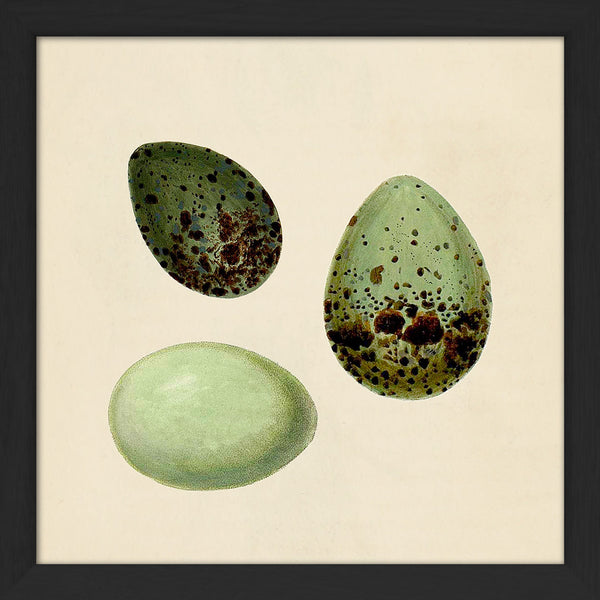 Three Green Eggs. Mini Print