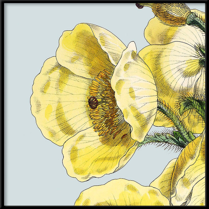 Yellow detail flower. Mini Print
