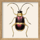 Purple and Gold Insect. Mini Print