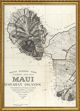Vintage map of Maui, Hawaii #1
