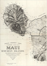 Vintage map of Maui, Hawaii #1