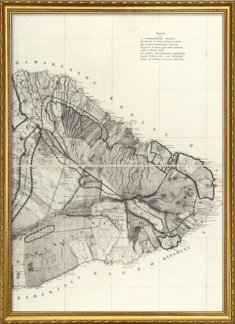 Vintage map of Maui, Hawaii #2