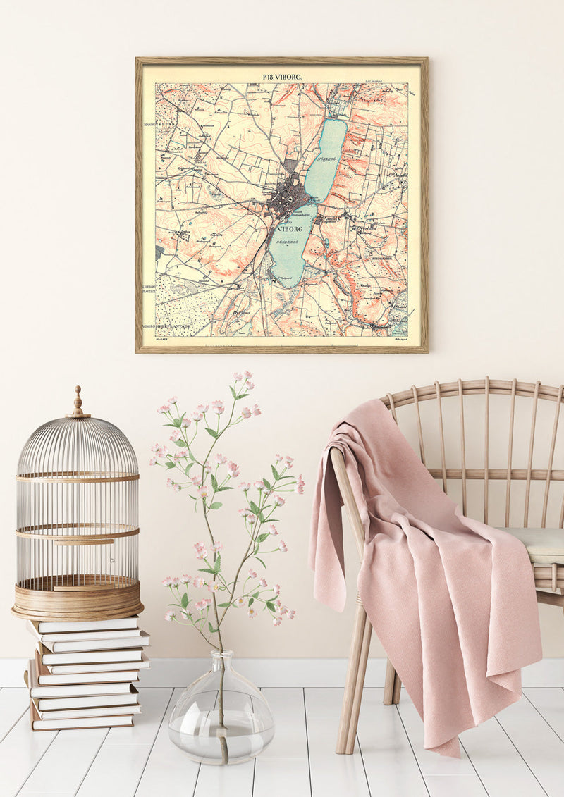 Vintage City Map of Viborg, Denmark