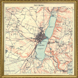 Vintage City Map of Viborg, Denmark