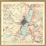Vintage City Map of Viborg, Denmark