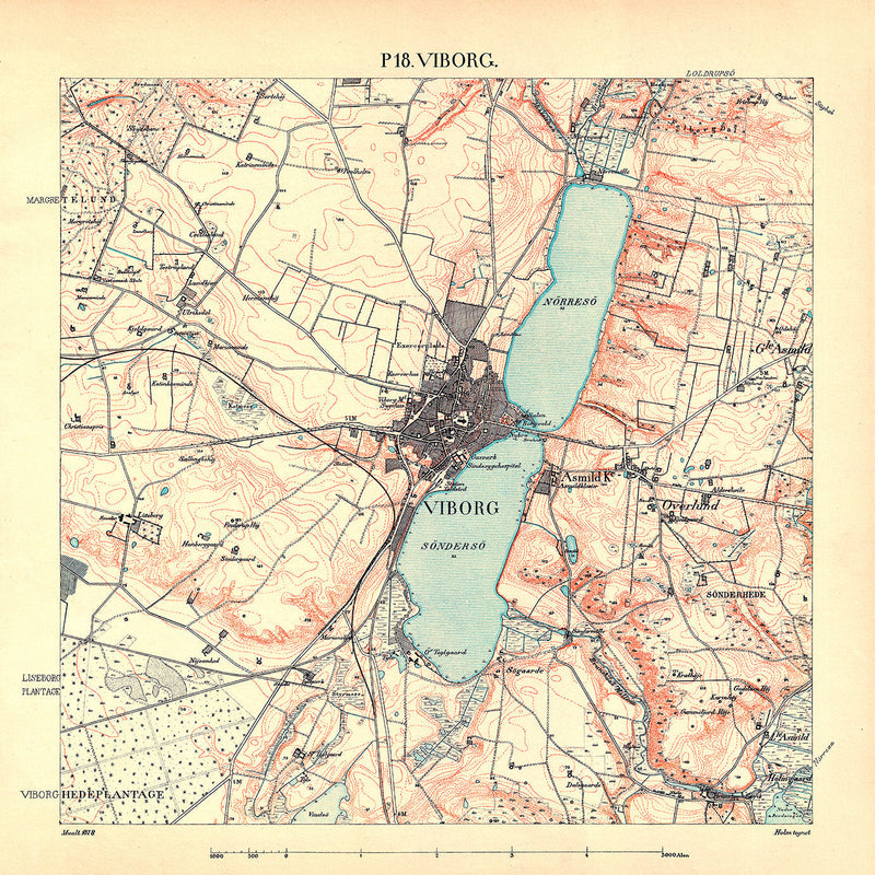 Vintage City Map of Viborg, Denmark