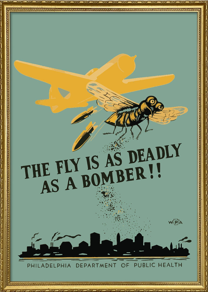 The fly is as deadly as a bomber!!