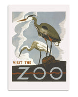 Visit the Zoo