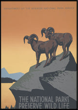 The National Parks Preserve Wild Life