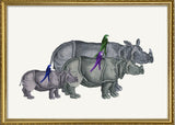 Rhinos and Birds