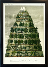 Mountain and Vegetation I. Mini Print