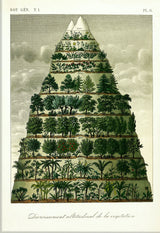 Mountain and Vegetation I. Mini Print