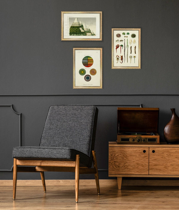 Mountain and Vegetation I. Mini Print