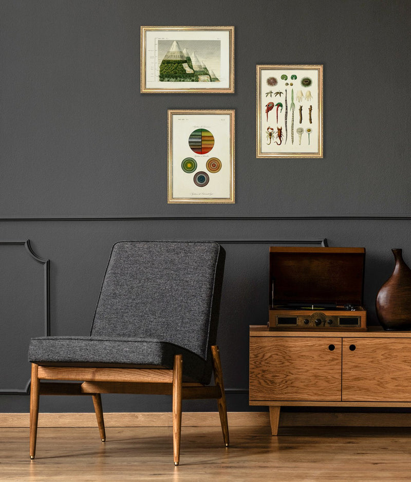 Mountain and Vegetation I. Mini Print