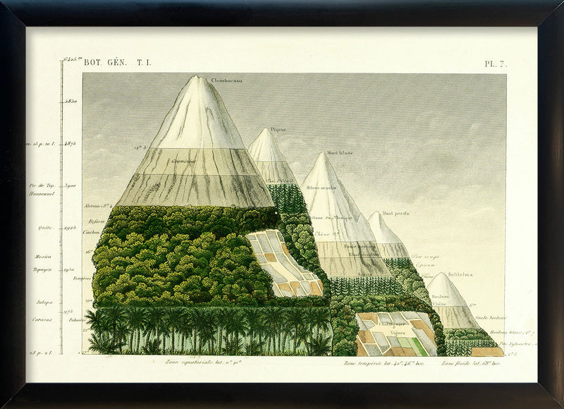 Mountain and Vegetation II. Mini Print