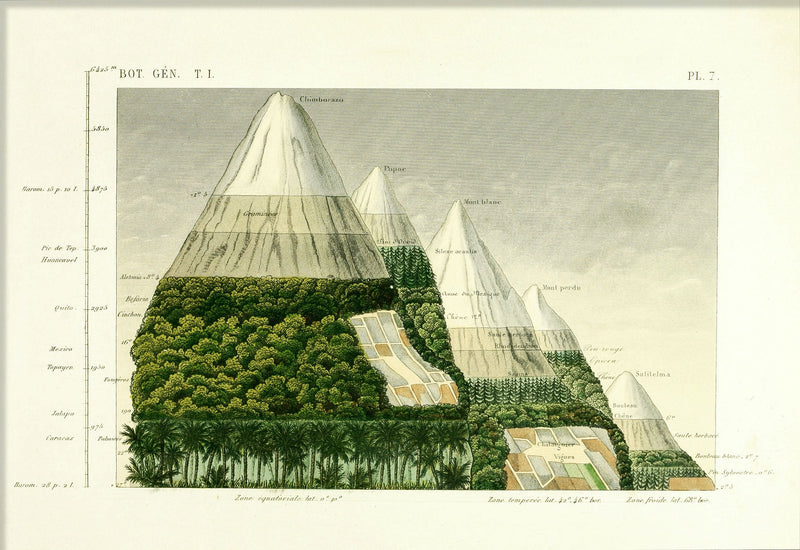 Mountain and Vegetation II. Mini Print