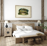 Chalet du Lac de Pinon