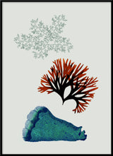 Triple Algae including Big Blue