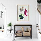 Triple Algae including Purple Thing