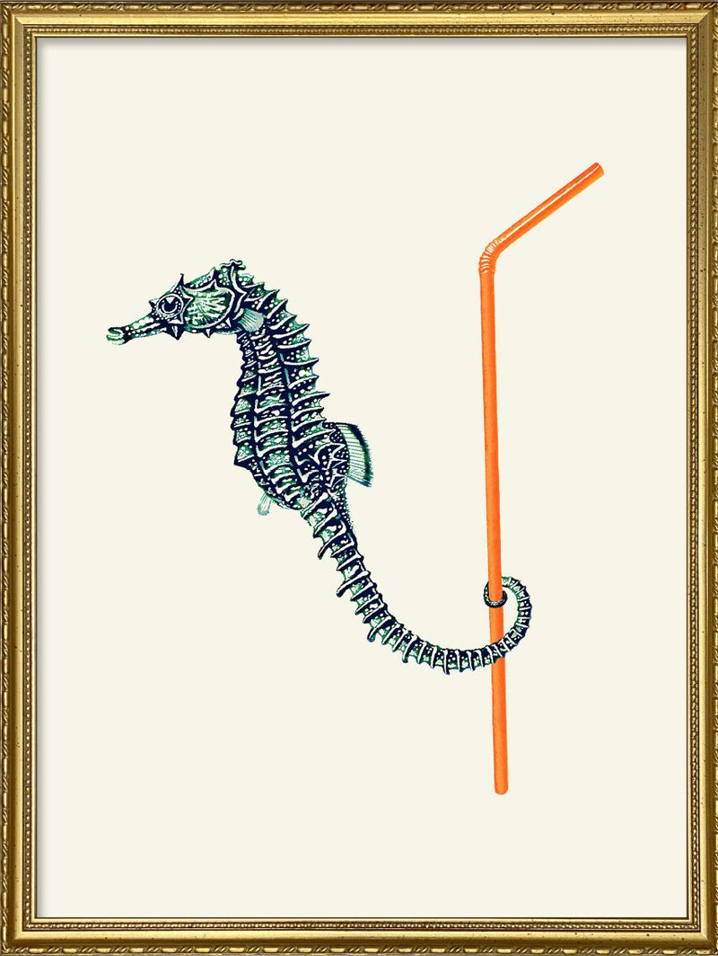 Seahorse and Straw.