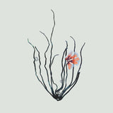 Single Algae black with pink flower