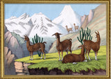 Llama