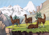 Llama