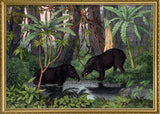 American Tapir