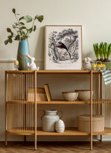 Pel’s Flying Squirrel - Anomalure de Pele