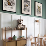 Diademed Sifaka - Propithèque Diadème