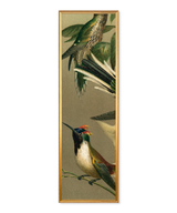Hummingbirds Slim