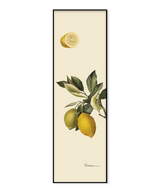 Citrus Slim