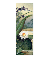 Water Lily Slim