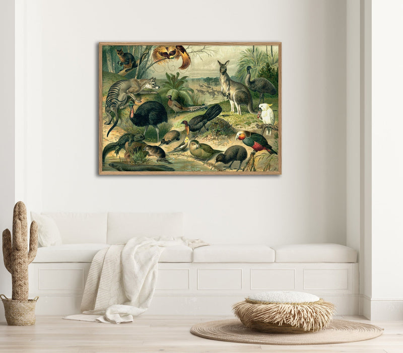 Australian Fauna Horizontal