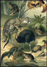Australian Fauna Left side