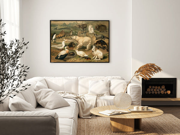 Arctic Fauna Horizontal