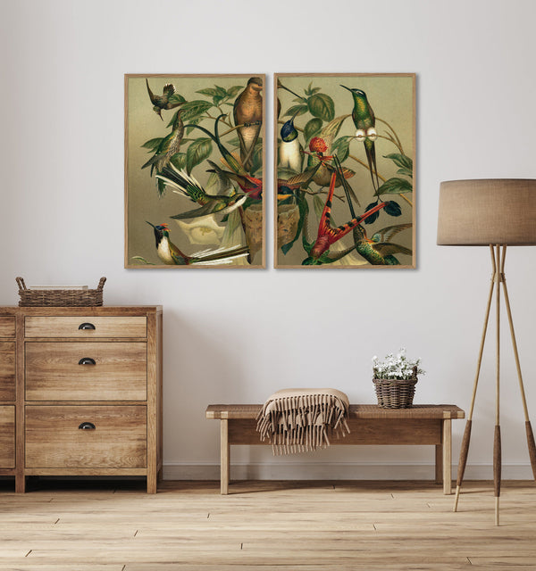 Hummingbirds Left side