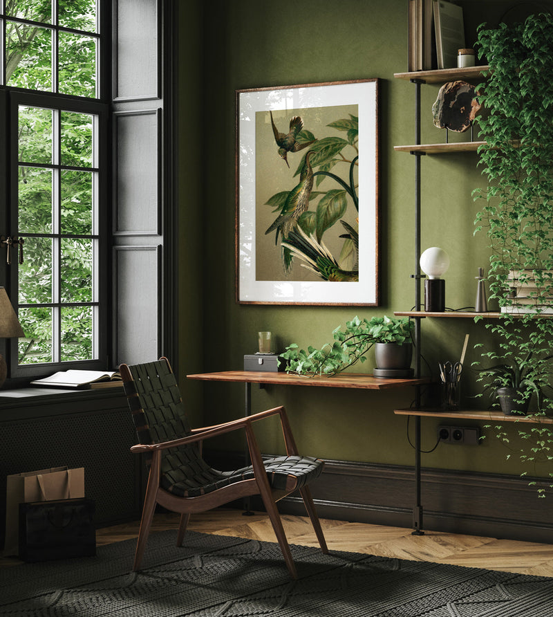 Hummingbirds Close-up