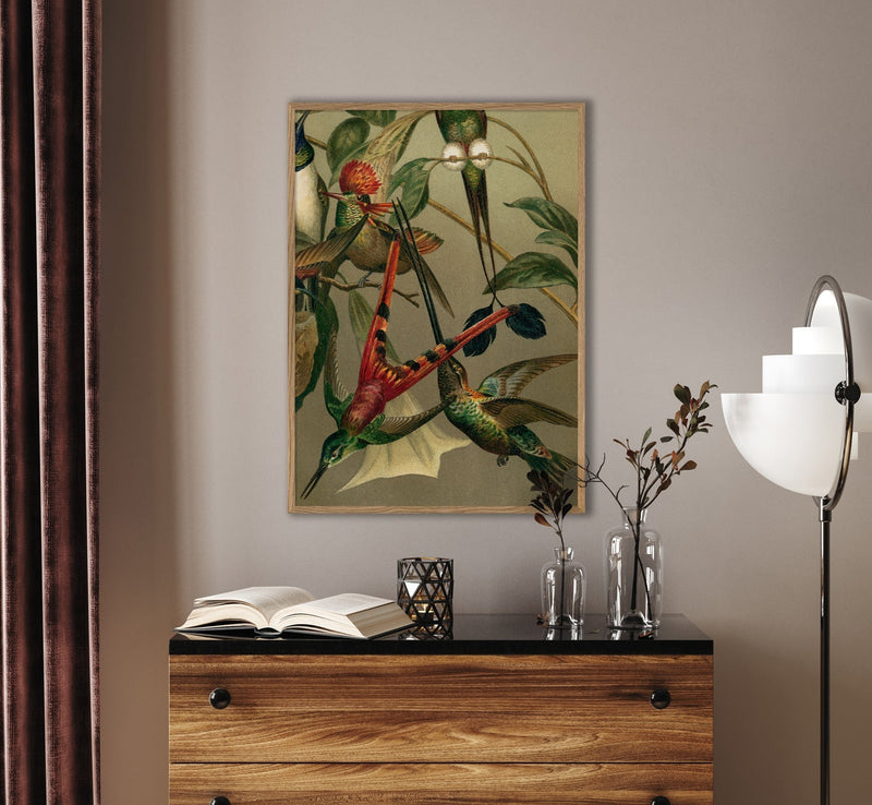 Hummingbirds Close-up