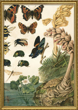 Darwinism Right Side