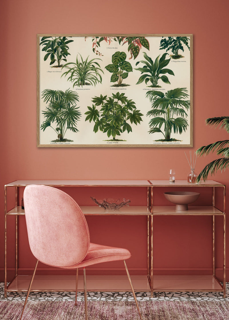 Oriental Plants Horizontal