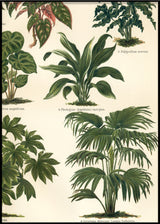 Oriental Plants Right Side