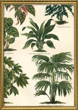 Oriental Plants Right Side