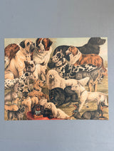 Dogs Horizontal