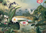 Water Plants Horizontal - Outlet